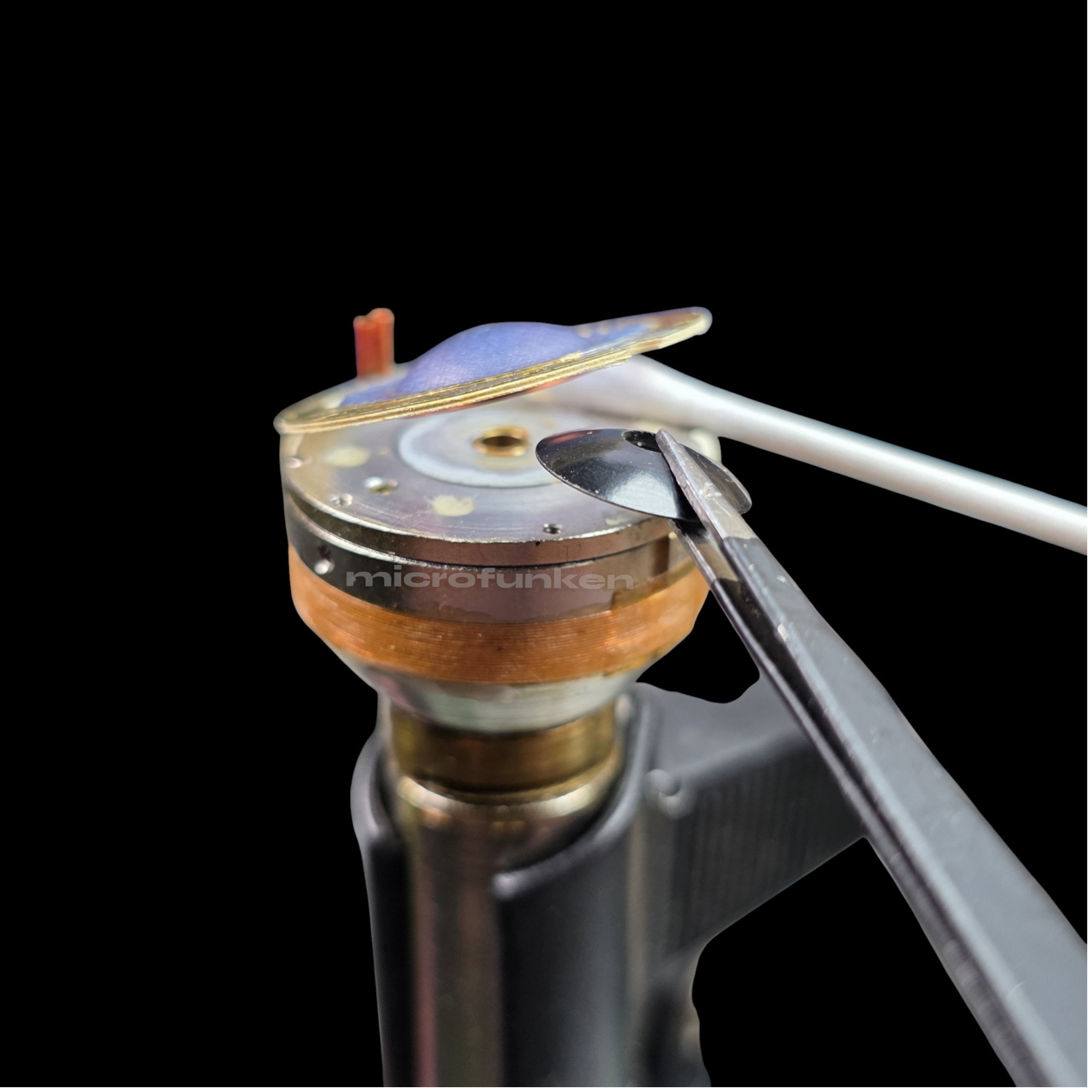 AKG D19 vintage microphone highlight